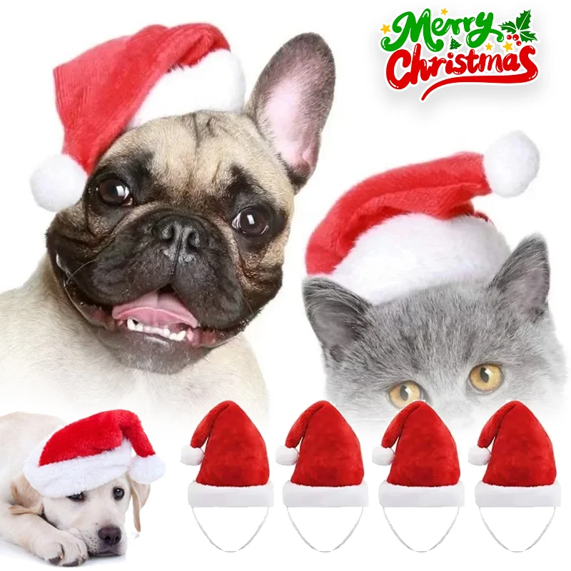 قبعة سانتا للحيوانات الأليفة ل - مراجعة Santa Hat Plush وسعره