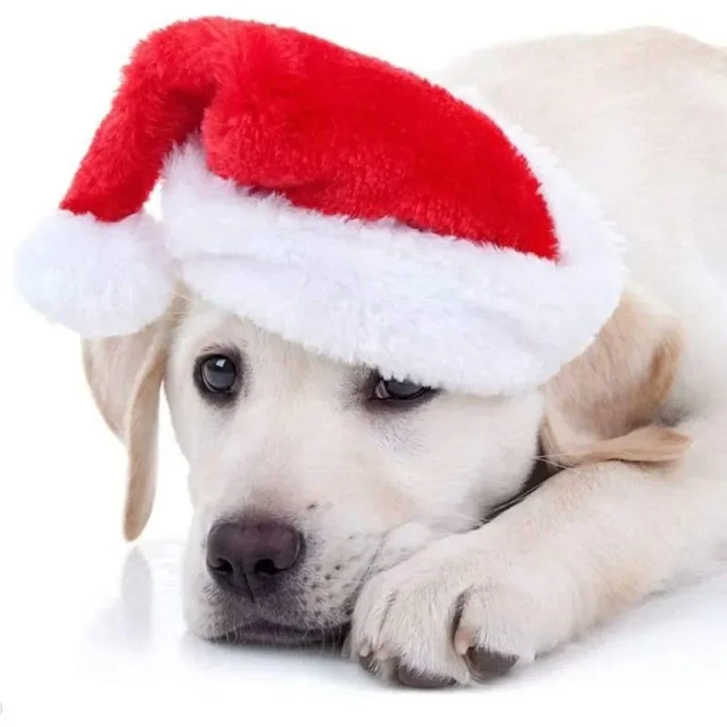 قبعة سانتا للحيوانات الأليفة ل - مراجعة Santa Hat Plush وسعره