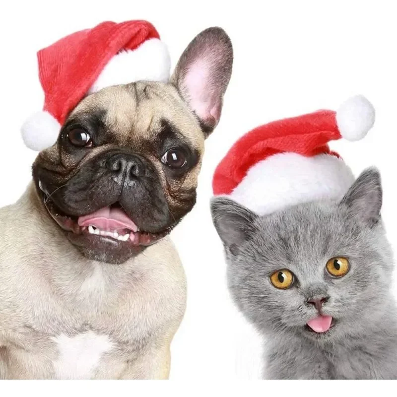 قبعة سانتا للحيوانات الأليفة ل - مراجعة Santa Hat Plush وسعره