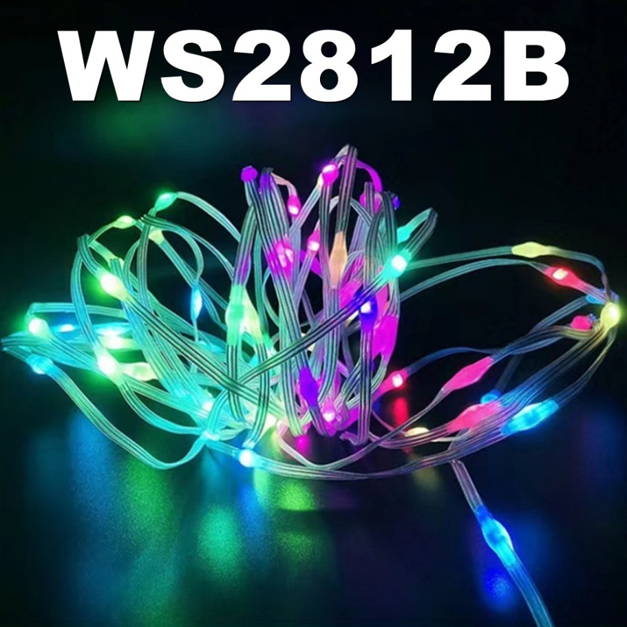WS2812B مصباح ليد سلسلة الذكية - مراجعة Led Fairy String Lights وسعره